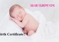Delhi janm pramaan patr me correction kaise karwayen